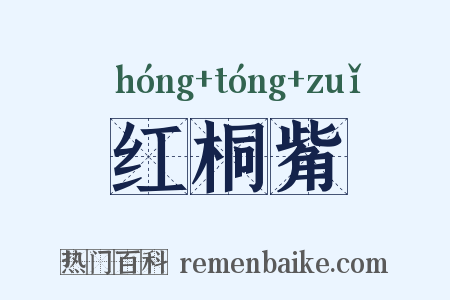 红桐觜是什么意思的图片